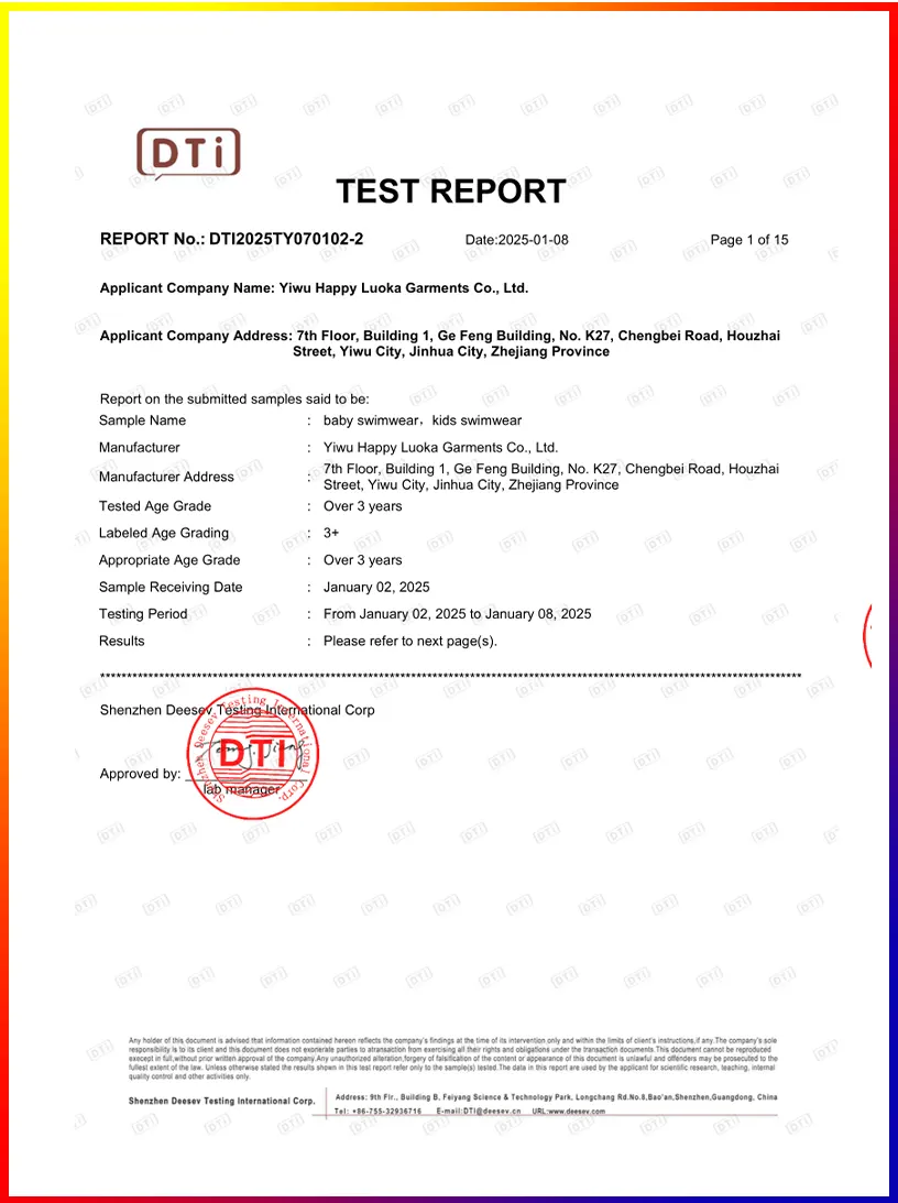DTI report preview